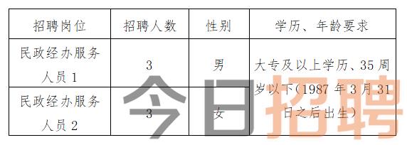 昭通市市统计局最新招聘信息