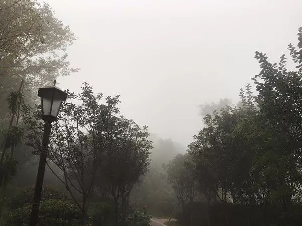 果林场最新天气预报